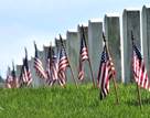 Washington Arling National Cemetary