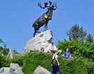 Ypres Somme Beaumont Hamel Newfoundland Memorial Park