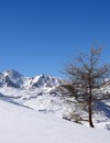 mountains in the snow