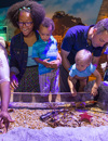 Sealife