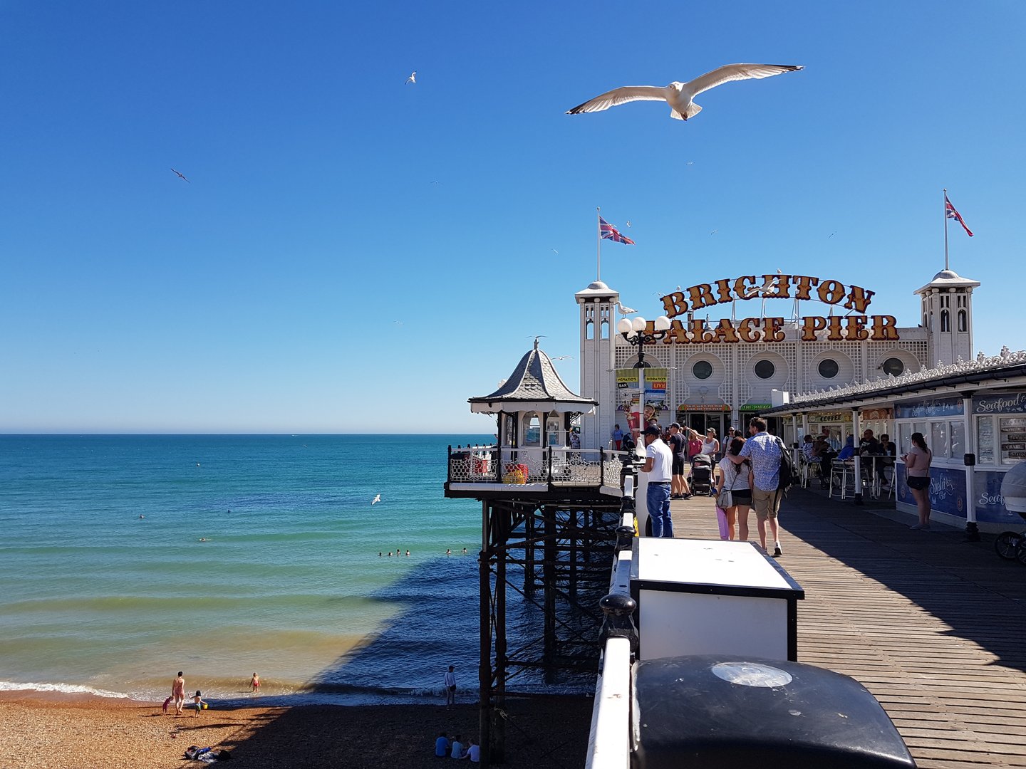 Enrichment school trips to Brighton destination