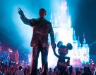 Florida Disney World Park Tickets