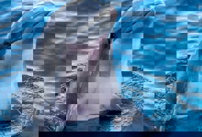 Adam Berkecz K6kzkjomzrk Unsplash