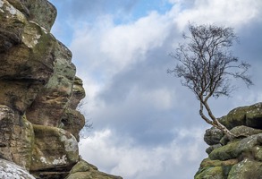 Yorkshire Limestone Rock Study