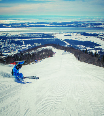 MSA 18 Andreolivierlyra