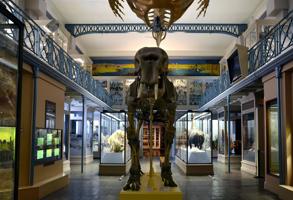 Paris Museum Of Natural History (1)