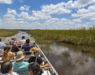 Marsh