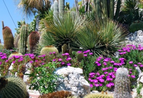 RS85055 Dreamstime Xl 5274085