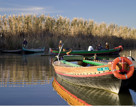 Valencia Albufera Boat Trip