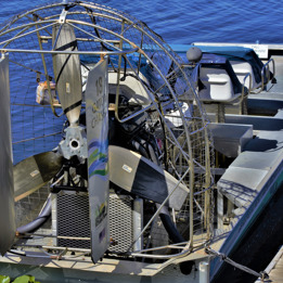 Florida Boggy Creek Airboat Ride
