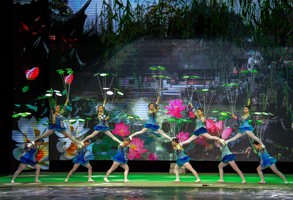 Shanghai Acrobatics Show