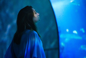 Barcelona Aquarium2