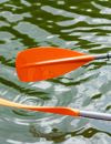 oars in the water