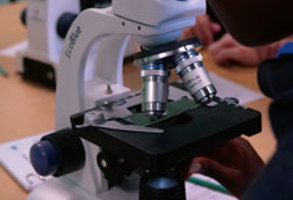Microscope (1)