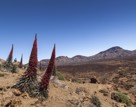 Tenerife Casa Bioclimatica